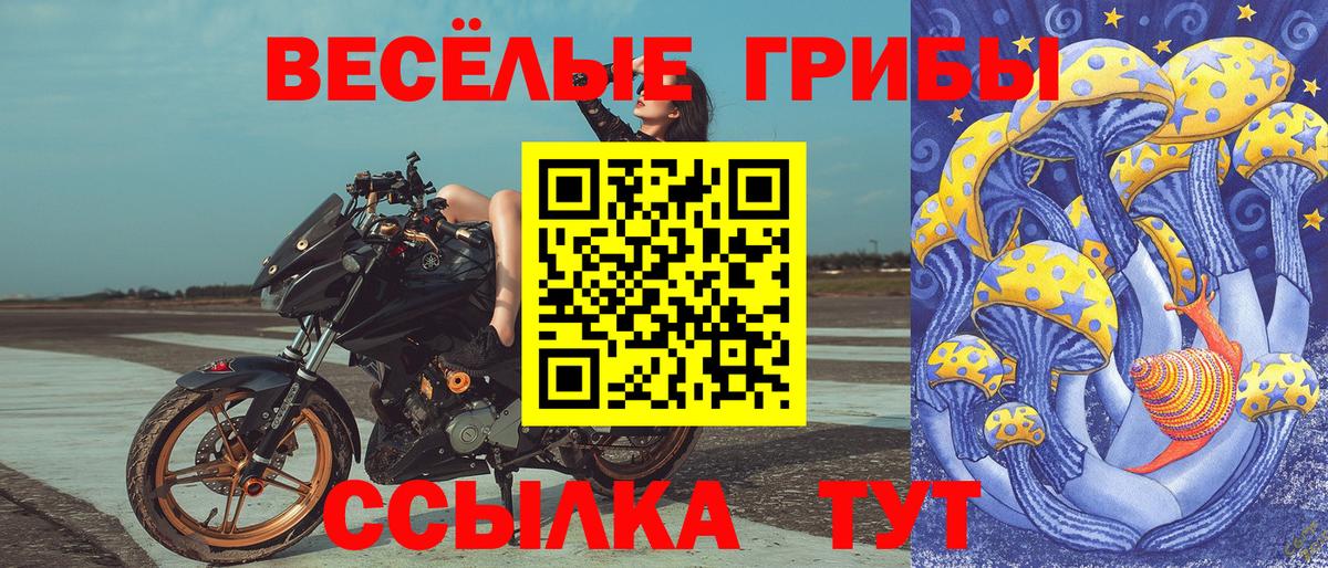Галлюциногенные грибы Psilocybe  где продают наркотики  Киреевск  Вход с VPN  Псилоцибиновые грибы мицелий 