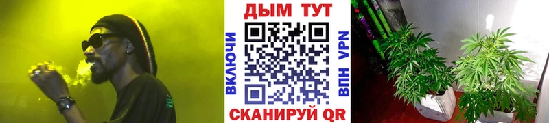 Марихуана MAZAR  маркетплейс официальный сайт  Киреевск 